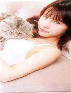 可可美食计2010